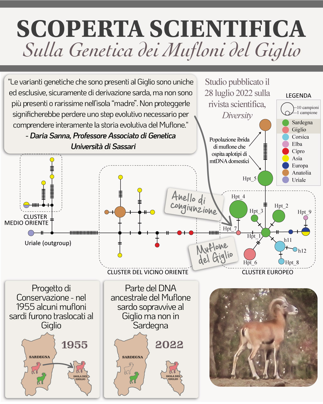 4 figura 4 scoperta scientifica genetica