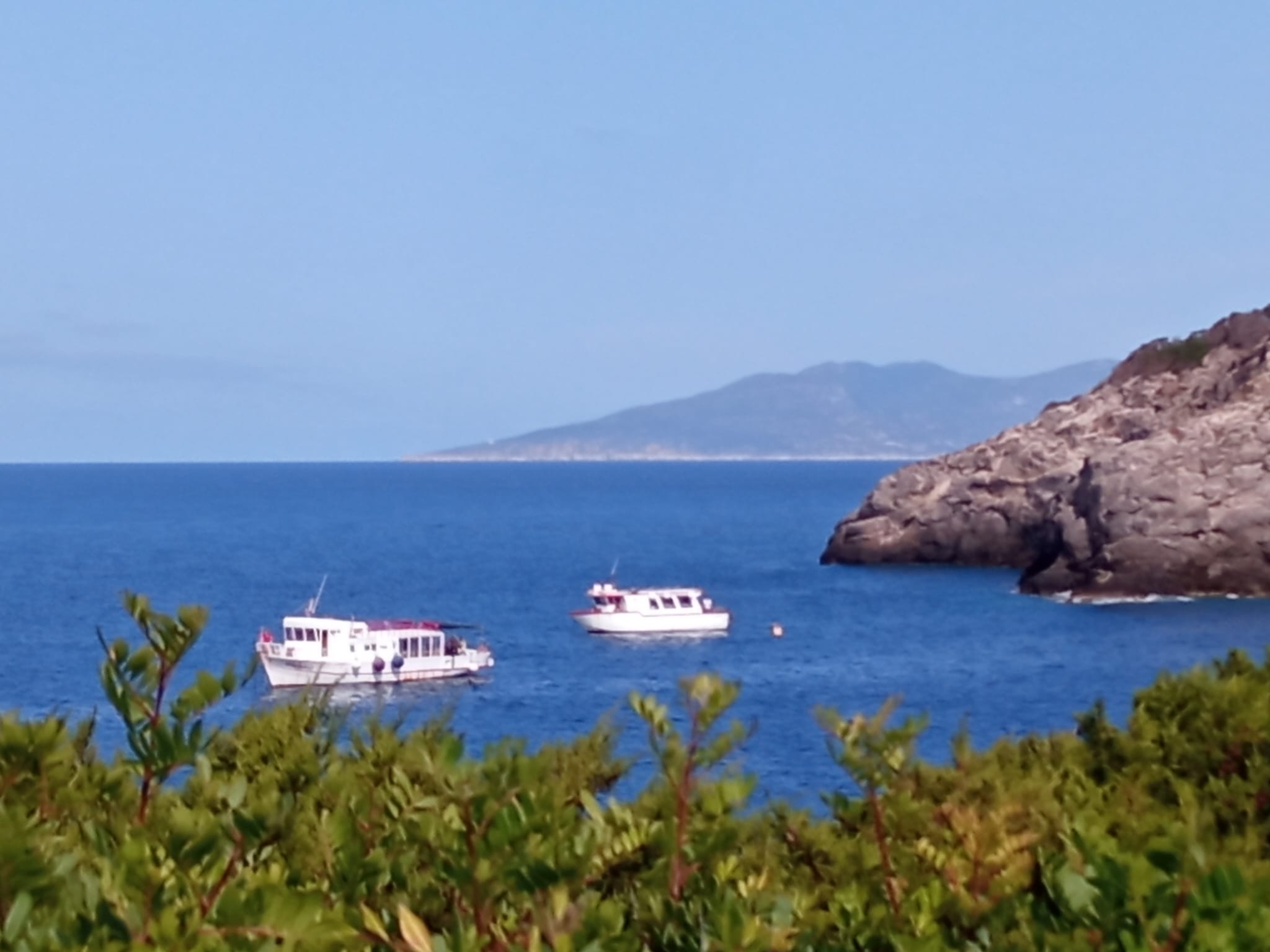 Giannutri Punta Ischiaola 30 luglio