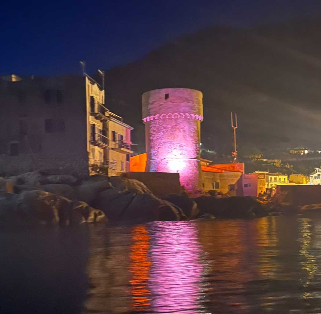 giglio in rosa