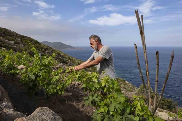 giglio massimo piccin le secche xbruno bruchi 768x512