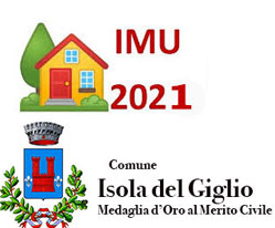 imu2021