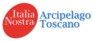 logo trasparente ombra