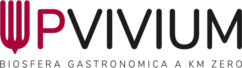 logo upvivium 