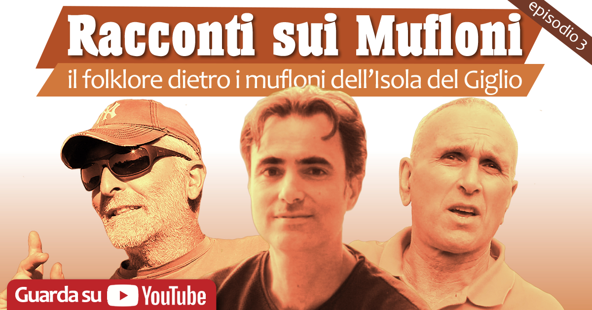 og image racconti sui mufloni episodio 3