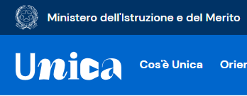 unica istruzione